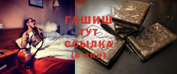 гидра Няндома