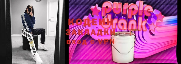 гидра Няндома