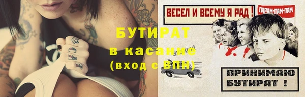 гидра Няндома