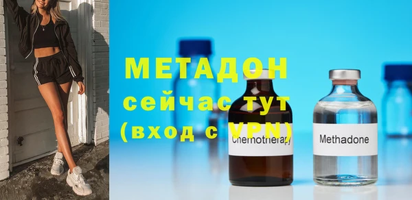 гидра Няндома