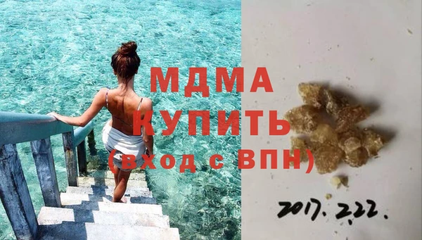 гидра Няндома