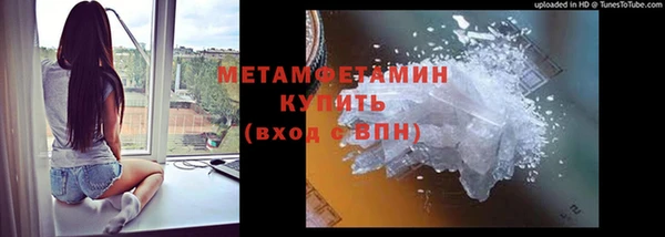 гидра Няндома