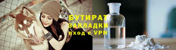 гидра Няндома