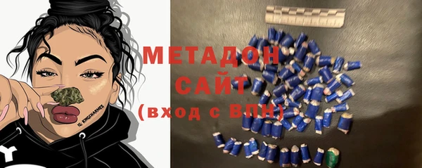 гидра Няндома
