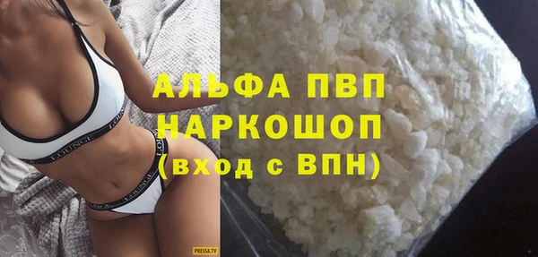 гидра Няндома