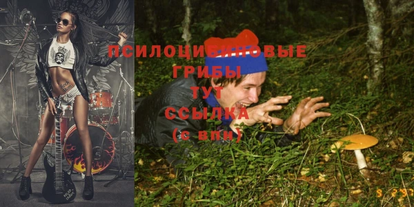 гидра Няндома