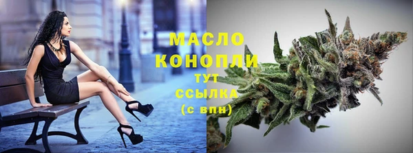 гидра Няндома